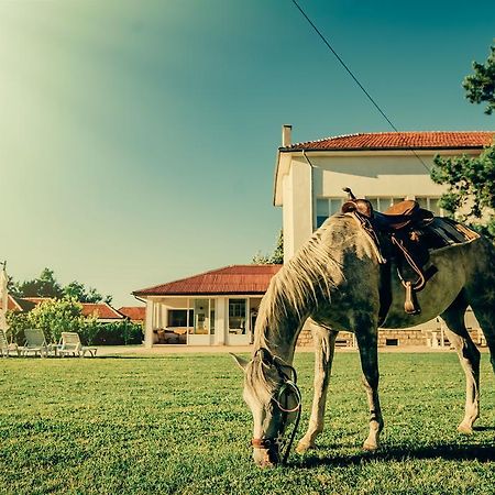 Guest House Ongal Krušuna Exteriér fotografie