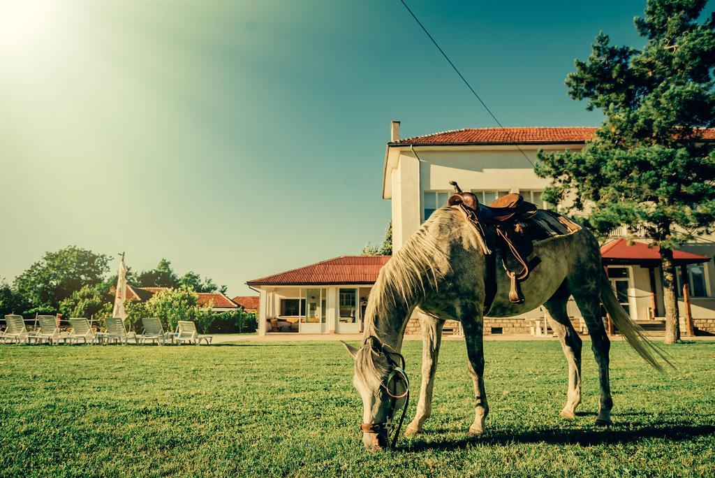 Guest House Ongal Krušuna Exteriér fotografie